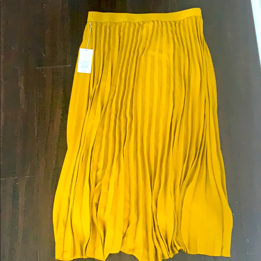 Long fall skirt